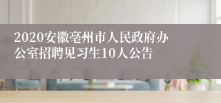 2020安徽亳州市人民政府办公室招聘见习生10人公告