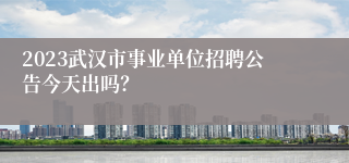 2023武汉市事业单位招聘公告今天出吗？