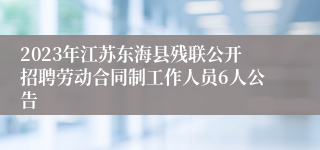 2023年江苏东海县残联公开招聘劳动合同制工作人员6人公告