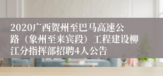 2020广西贺州至巴马高速公路（象州至来宾段）工程建设柳江分指挥部招聘4人公告