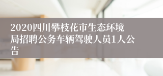 2020四川攀枝花市生态环境局招聘公务车辆驾驶人员1人公告