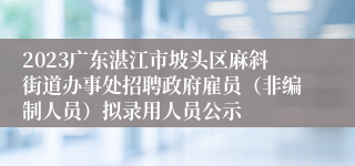 2023广东湛江市坡头区麻斜街道办事处招聘政府雇员（非编制人员）拟录用人员公示