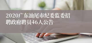 2020广东汕尾市纪委监委招聘政府聘员46人公告