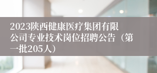 2023陕西健康医疗集团有限公司专业技术岗位招聘公告（第一批205人）