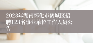 2023年湖南怀化市鹤城区招聘123名事业单位工作人员公告