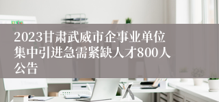 2023甘肃武威市企事业单位集中引进急需紧缺人才800人公告