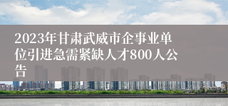 2023年甘肃武威市企事业单位引进急需紧缺人才800人公告