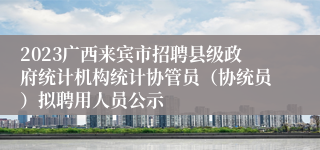 2023广西来宾市招聘县级政府统计机构统计协管员（协统员）拟聘用人员公示