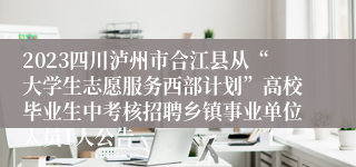 2023四川泸州市合江县从“大学生志愿服务西部计划”高校毕业生中考核招聘乡镇事业单位人员1人公告