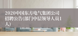 2020中国东方电气集团公司招聘公告(部门中层领导人员1人)