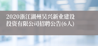 2020浙江湖州吴兴新业建设投资有限公司招聘公告(6人)