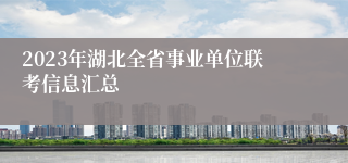 2023年湖北全省事业单位联考信息汇总