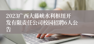2023广西大藤峡水利枢纽开发有限责任公司校园招聘6人公告