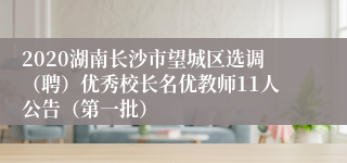 2020湖南长沙市望城区选调（聘）优秀校长名优教师11人公告（第一批）