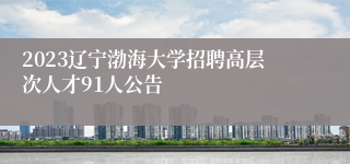 2023辽宁渤海大学招聘高层次人才91人公告
