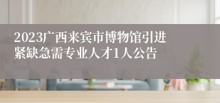 2023广西来宾市博物馆引进紧缺急需专业人才1人公告