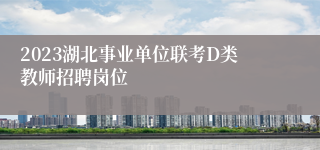 2023湖北事业单位联考D类教师招聘岗位