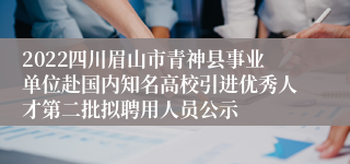 2022四川眉山市青神县事业单位赴国内知名高校引进优秀人才第二批拟聘用人员公示