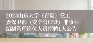 2023山东大学（青岛）党工委保卫部（安全管理处）非事业编制管理岗位人员招聘1人公告