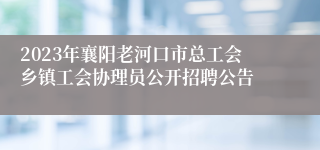 2023年襄阳老河口市总工会乡镇工会协理员公开招聘公告
