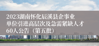 2023湖南怀化辰溪县企事业单位引进高层次及急需紧缺人才60人公告（第五批）