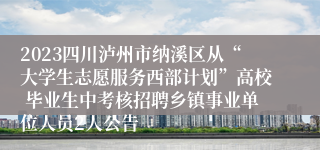 2023四川泸州市纳溪区从“大学生志愿服务西部计划”高校 毕业生中考核招聘乡镇事业单位人员2人公告