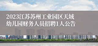 2023江苏苏州工业园区天域幼儿园财务人员招聘1人公告