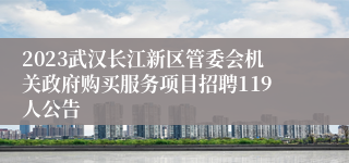 2023武汉长江新区管委会机关政府购买服务项目招聘119人公告