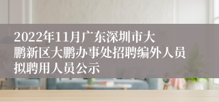 2022年11月广东深圳市大鹏新区大鹏办事处招聘编外人员拟聘用人员公示