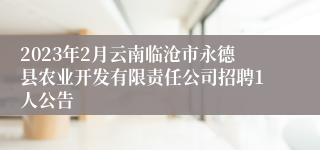 2023年2月云南临沧市永德县农业开发有限责任公司招聘1人公告