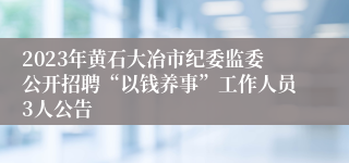 2023年黄石大冶市纪委监委公开招聘“以钱养事”工作人员3人公告