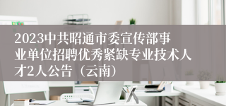 2023中共昭通市委宣传部事业单位招聘优秀紧缺专业技术人才2人公告（云南）