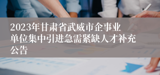 2023年甘肃省武威市企事业单位集中引进急需紧缺人才补充公告