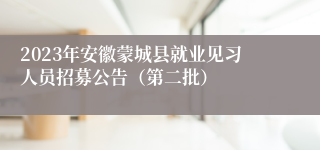 2023年安徽蒙城县就业见习人员招募公告（第二批）