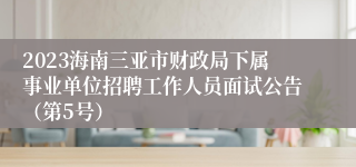 2023海南三亚市财政局下属事业单位招聘工作人员面试公告（第5号）