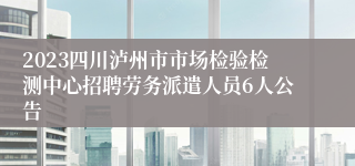 2023四川泸州市市场检验检测中心招聘劳务派遣人员6人公告