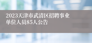 2023天津市武清区招聘事业单位人员85人公告