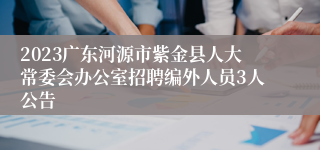 2023广东河源市紫金县人大常委会办公室招聘编外人员3人公告