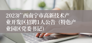 2023广西南宁市高新技术产业开发区招聘1人公告（特色产业园区党委书记）