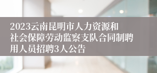 2023云南昆明市人力资源和社会保障劳动监察支队合同制聘用人员招聘3人公告