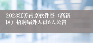 2023江苏南京软件谷（高新区）招聘编外人员6人公告