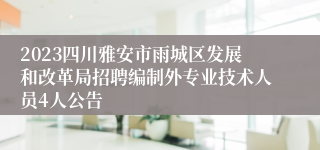 2023四川雅安市雨城区发展和改革局招聘编制外专业技术人员4人公告