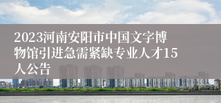 2023河南安阳市中国文字博物馆引进急需紧缺专业人才15人公告