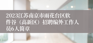 2023江苏南京市雨花台区软件谷（高新区）招聘编外工作人员6人简章