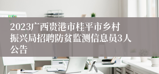 2023广西贵港市桂平市乡村振兴局招聘防贫监测信息员3人公告