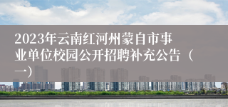 2023年云南红河州蒙自市事业单位校园公开招聘补充公告（一）