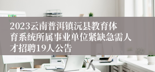 2023云南普洱镇沅县教育体育系统所属事业单位紧缺急需人才招聘19人公告