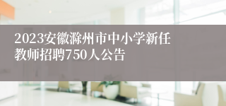 2023安徽滁州市中小学新任教师招聘750人公告