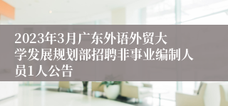 2023年3月广东外语外贸大学发展规划部招聘非事业编制人员1人公告