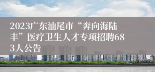 2023广东汕尾市“奔向海陆丰”医疗卫生人才专项招聘683人公告